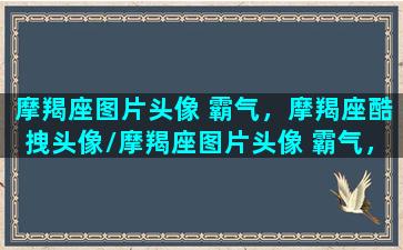 摩羯座图片头像 霸气，摩羯座酷拽头像/摩羯座图片头像 霸气，摩羯座酷拽头像-我的网站